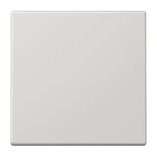 Jung EnOcean Funk-Wandsender 2-kanalig, Serie LS, lichtgrau ENOLS990LG