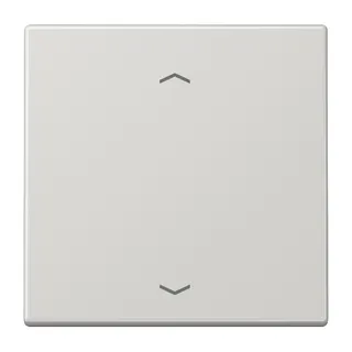 Jung EnOcean Funk-Wandsender 2-kanalig, mit Pfeilsymbolen, Serie LS, lichtgrau ENOLS990PLG