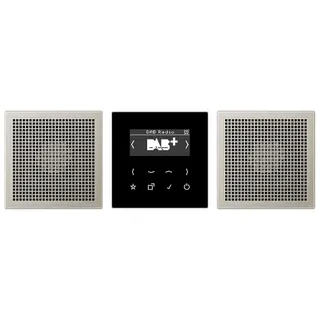 Jung Smart Radio DAB+, Set Stereo, Serie LS, Edelstahl DABES2