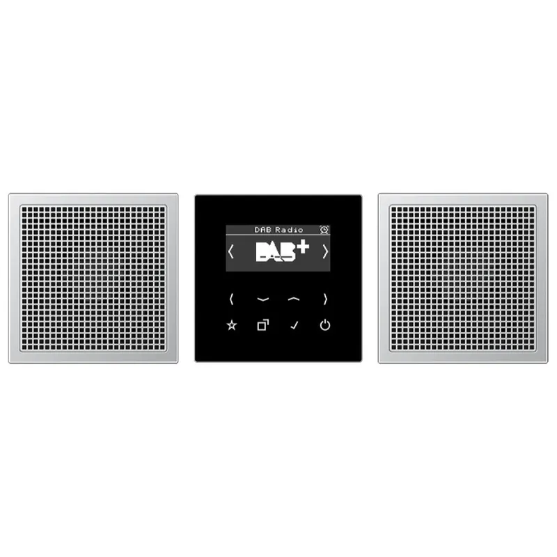 Jung Smart Radio DAB+, Set Stereo, Serie LS, Aluminium DABAL2