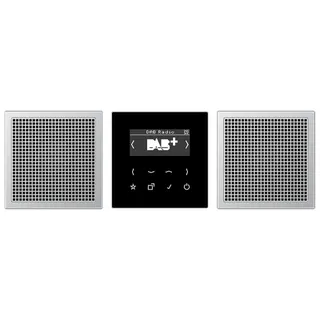 Jung Smart Radio DAB+, Set Stereo, Serie LS, Aluminium DABAL2