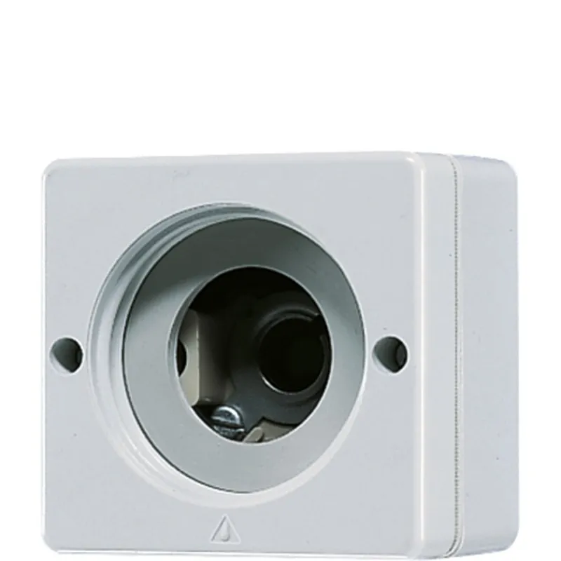 Jung Lichtsignal (ohne Haube), E10-Gewinde, WG 600, grau 637-10W