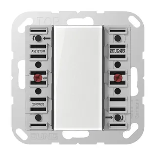 Jung Tastsensor-Modul 24 V AC/DC, 20 mA 1-kanalig, 2 Schaltpunkte, Serie AS/A A5212TSM