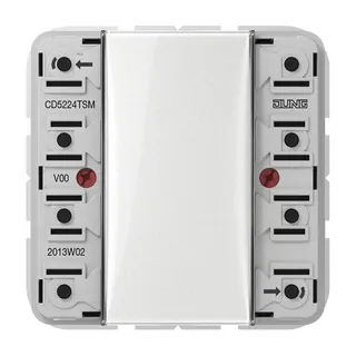 Jung Tastsensor-Modul 24 V AC/DC, 20 mA 2-kanalig, 4 Schaltpunkte, Serie CD CD5224TSM