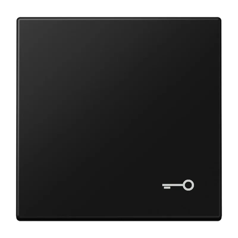 Jung Wippe, Symbol Tür, Serie LS, graphitschwarz matt LS990TSWM