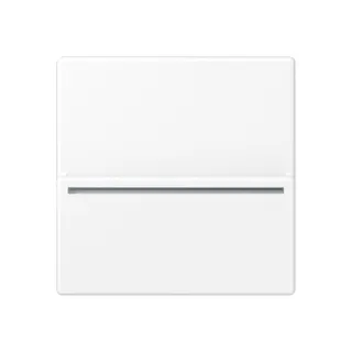 Jung Hotelcard-Schalter RFID, ohne Symbole, Serie A, schneeweiß matt ACARDRFIDWWM