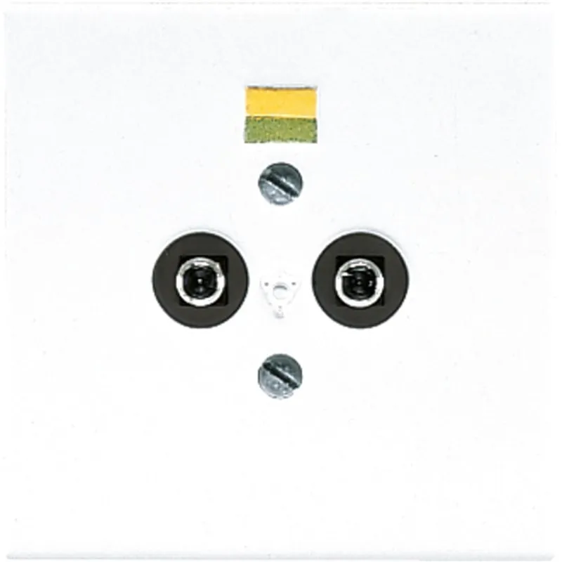Jung Potentialausgleich-Steckdose, Duroplast, Serie LS, alpinweiß LS965-2WW