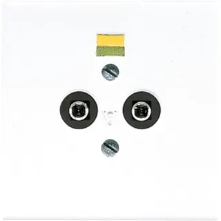 Jung Potentialausgleich-Steckdose, Duroplast, Serie LS, alpinweiß LS965-2WW