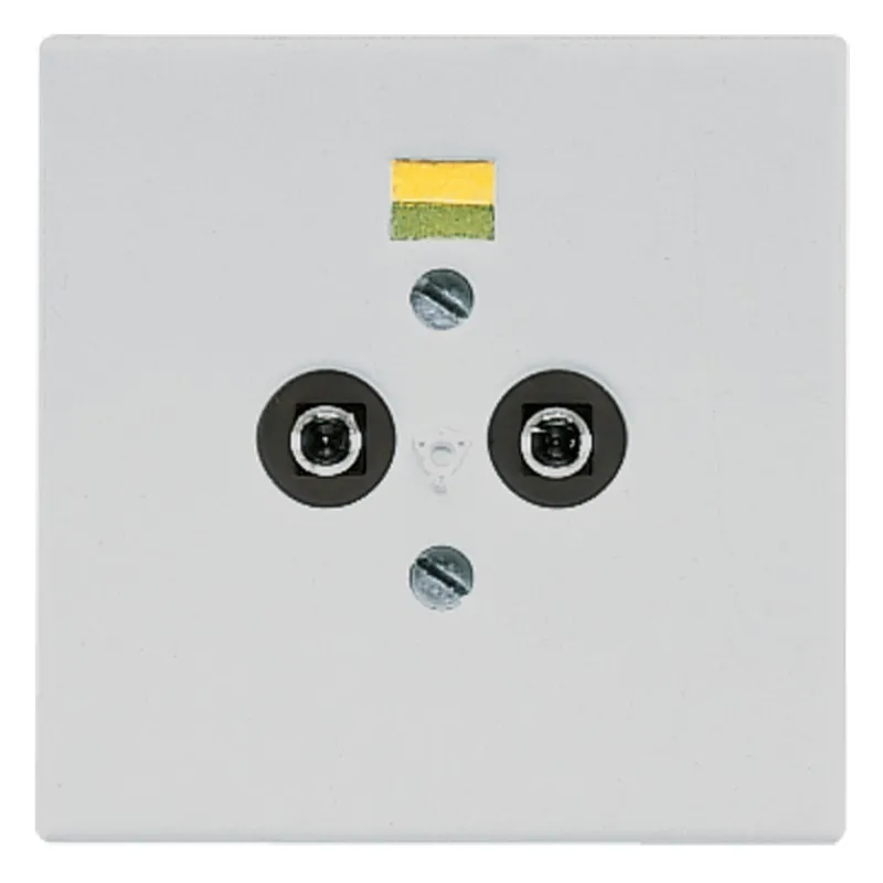 Jung Potentialausgleich-Steckdose, Duroplast, Serie LS, lichtgrau LS965-2LG