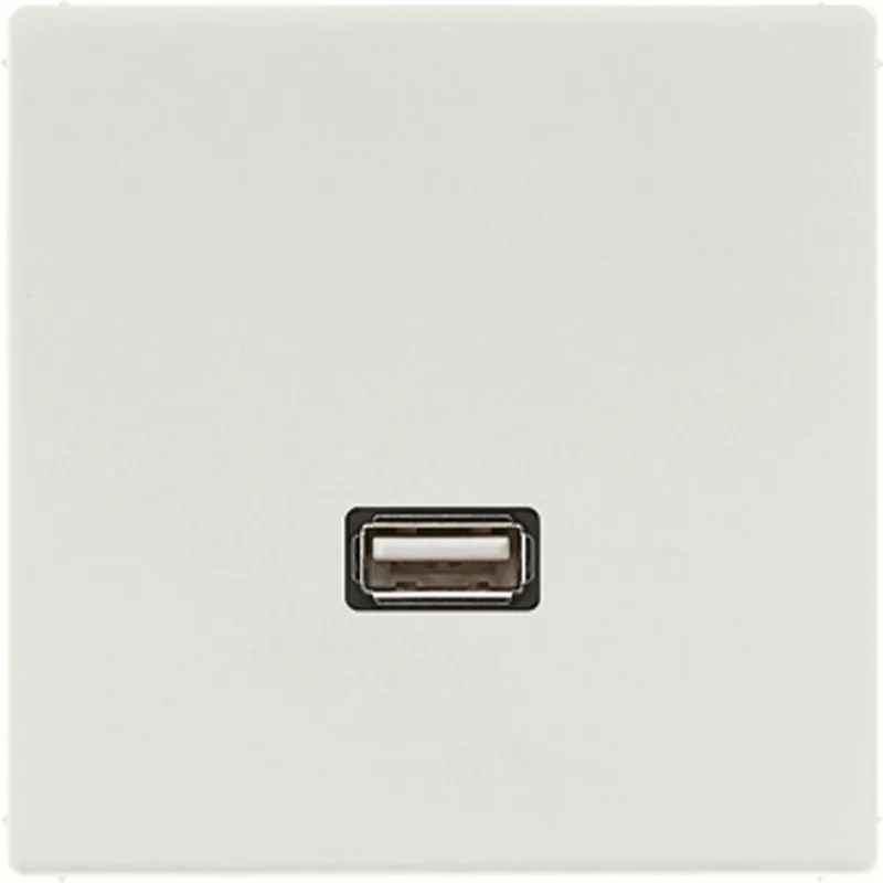 Jung Multimedia-Anschlusssystem USB 2.0, Serie LS, lichtgrau MALS1122LG