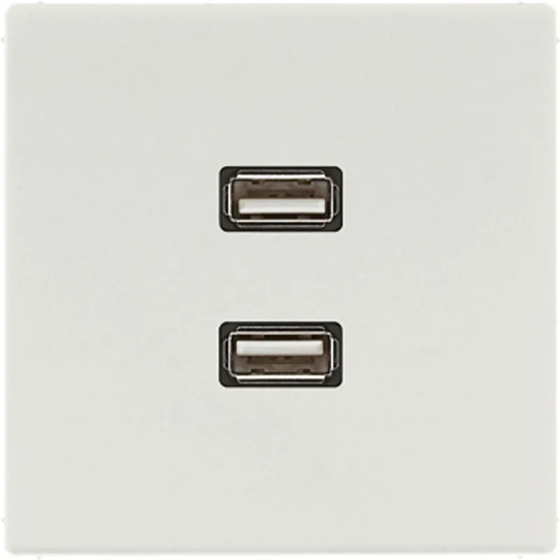 Jung Multimedia-Anschlusssystem 2 x USB 2.0, Serie LS, lichtgrau MALS1153LG