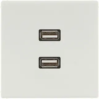 Jung Multimedia-Anschlusssystem 2 x USB 2.0, Serie LS, lichtgrau MALS1153LG