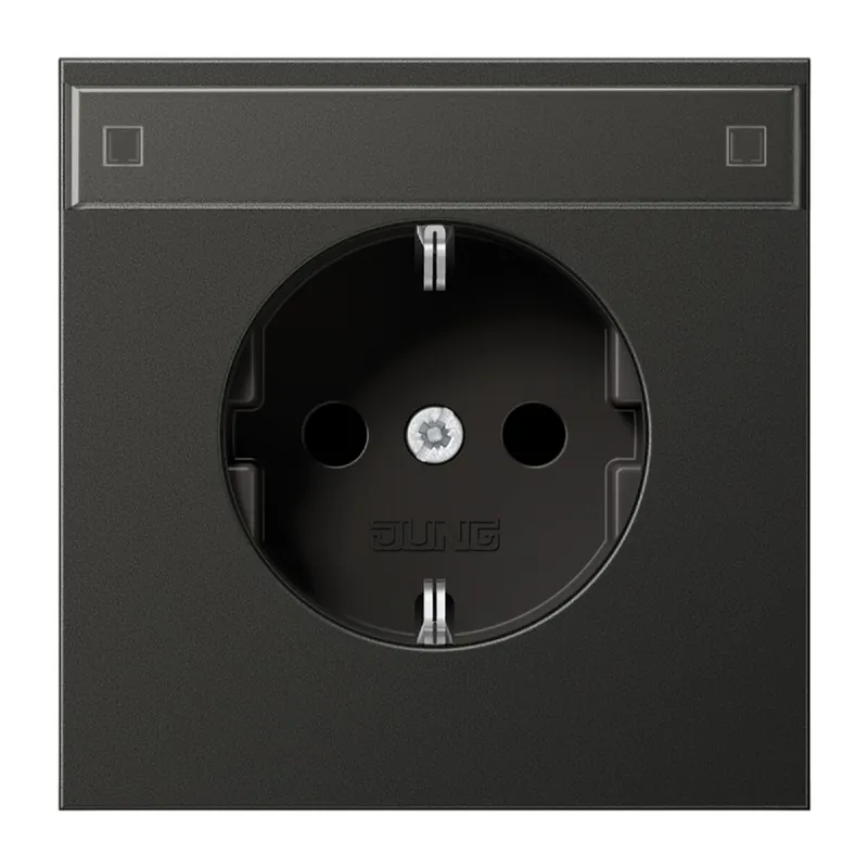 Jung SCHUKO Steckdose, 16 A 250 V ~, mit Schriftfeld, SAFETY+, Aluminium lackiert, Serie LS, anthrazit AL1520KINAAN