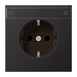 Jung SCHUKO Steckdose, 16 A 250 V ~, mit Schriftfeld, SAFETY+, Aluminium lackiert, Serie LS, dark AL1520KINAD