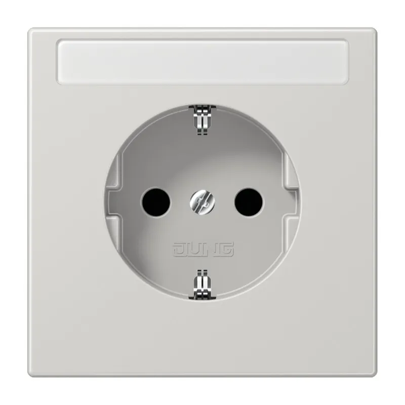 Jung SCHUKO Steckdose, 16 A 250 V ~, ohne Krallen, mit Schriftfeld, SAFETY+, Duroplast, Serie LS, lichtgrau LS1520NKINALG
