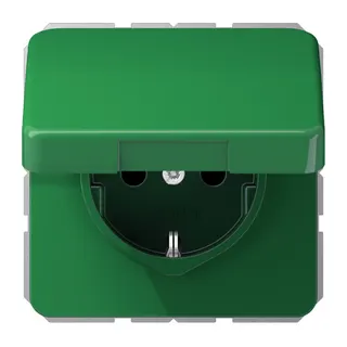 Jung SCHUKO Steckdose, 16 A 250 V ~, ohne Krallen, Thermoplast, Serie CD, grün (für SV) CD1520BFKIKLGN