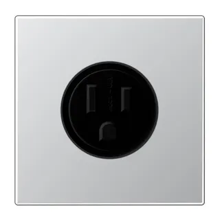 Jung Steckdose, US-Norm NEMA, 15 A 125 V ~, Schraubklemmen, ohne Krallen, Serie LS, Aluminium AL2521-15