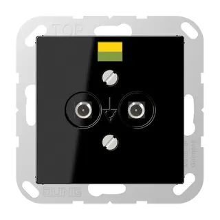 Jung Potentialausgleich-Steckdose, Thermoplast, Serie A, schwarz A565-2BFSW
