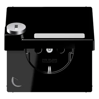 Jung SCHUKO Steckdose, 16 A 250 V ~, mit Schriftfeld, mit Sicherheitsschloss, Thermoplast, Se LS1520NAKLSLSW
