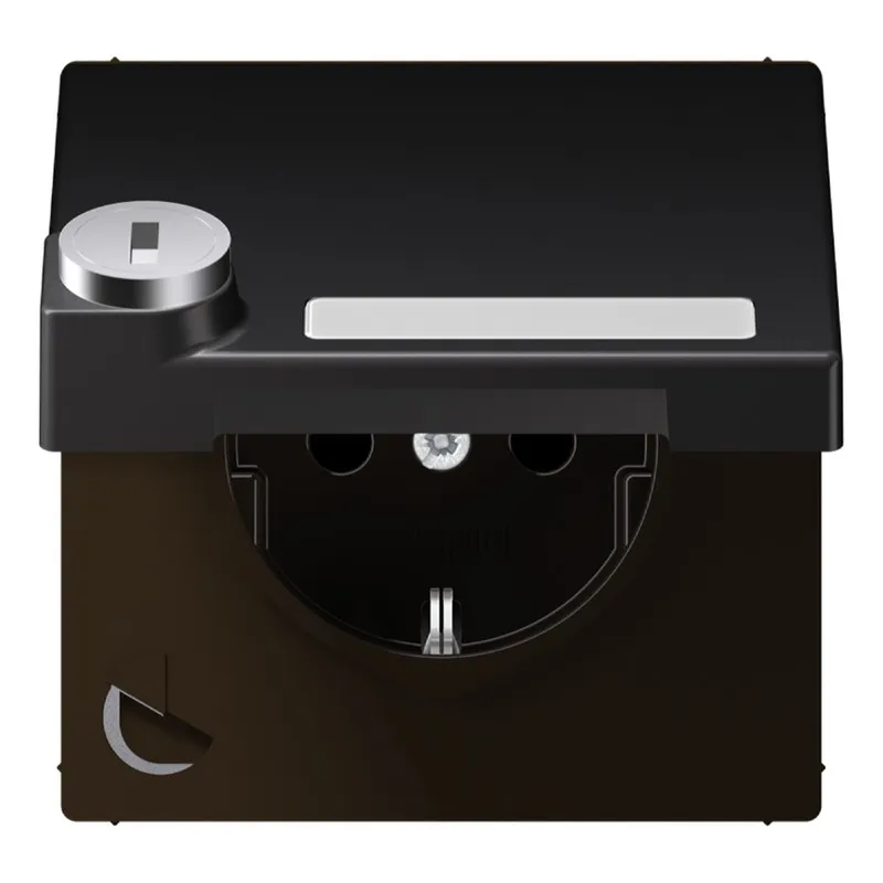 Jung SCHUKO Steckdose, 16 A 250 V ~, mit Schriftfeld, mit Sicherheitsschloss, Thermoplast lac AL1520NAKLSLD