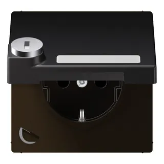 Jung SCHUKO Steckdose, 16 A 250 V ~, mit Schriftfeld, mit Sicherheitsschloss, Thermoplast lac AL1520NAKLSLD