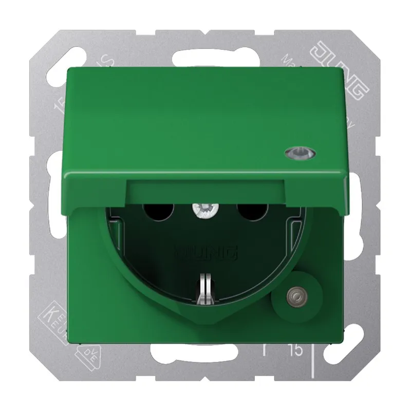 Jung SCHUKO Steckdose, 16 A 250 V ~, mit Funktionsanzeige, Thermoplast, Serie A, grün (für SV A1520BFKLKOGN