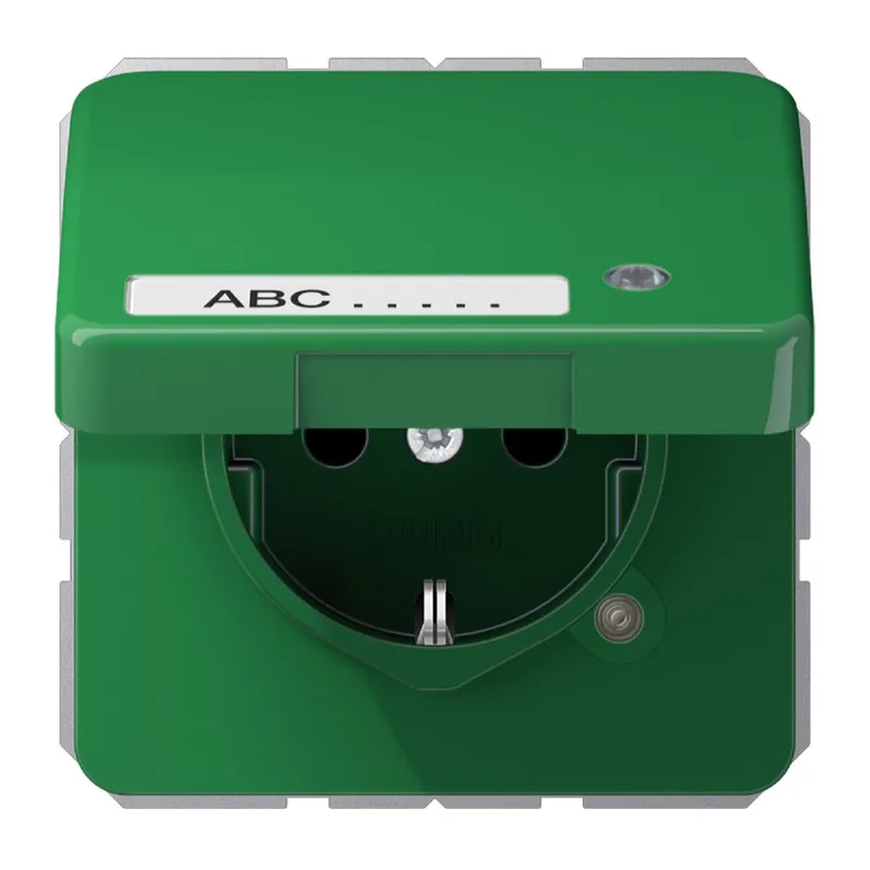 Jung SCHUKO Steckdose, 16 A 250 V ~, ohne Krallen, mit Funktionsanzeige, mit Schriftfeld, The CD1520NAKLKOGN
