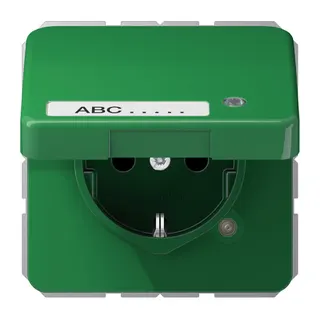 Jung SCHUKO Steckdose, 16 A 250 V ~, ohne Krallen, mit Funktionsanzeige, mit Schriftfeld, The CD1520NAKLKOGN
