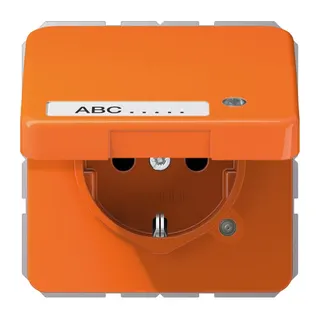 Jung SCHUKO Steckdose, 16 A 250 V ~, ohne Krallen, mit Funktionsanzeige, mit Schriftfeld, The CD1520NAKLKOO