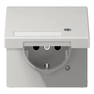 Jung SCHUKO Steckdose, 16 A 250 V ~, mit Funktionsanzeige, mit Schriftfeld, Thermoplast, Seri LS1520NAKLKOLG