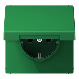 Jung SCHUKO Steckdose, 16 A 250 V ~, Thermoplast, Serie LS, grün (für SV) LS1520BFKIKLGN