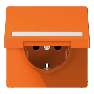 Jung SCHUKO Steckdose, 16 A 250 V ~, mit Schriftfeld, Thermoplast, Serie LS, orange (für ZSV) LS1520BFNAKLO