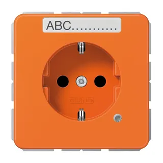 Jung SCHUKO Steckdose, 16 A 250 V ~, ohne Krallen, mit Funktionsanzeige, mit Schriftfeld, SAFETY+, Thermoplast, Ser CD1520BFNAKOO