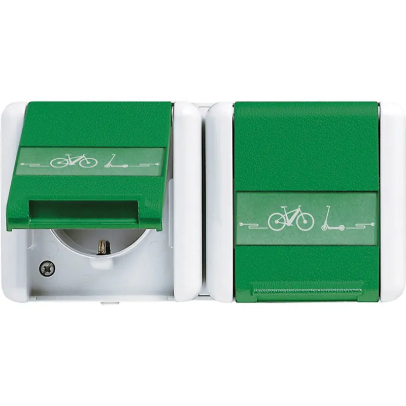 Jung SCHUKO®-Zweifach-Steckdose, 4 Leitungseinführungen, 2 Einzelabdeckungen, 16 A 250 V ~ mit E-Bike-Ladesymbol, mit Schriftfeld, Klappdeckel, waagerecht, 8220GNNAWEB