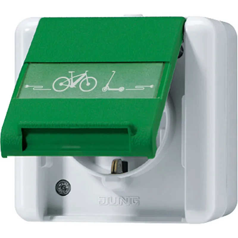 Jung SCHUKO Steckdose, 16 A 250 V ~ mit E-Bike-Ladesymbol, mit Schriftfeld, Klappdeckel, WG 800, grau/grün (für SV) 820GNNAWEB