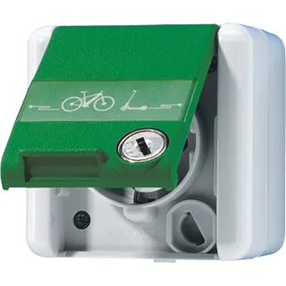 Jung SCHUKO Steckdose, 16 A 250 V ~ mit E-Bike-Ladesymbol, mit Schriftfeld, Klappdeckel, mit Sicherheitsschloss, IP 44, WG 800 820GNNAWSLEB