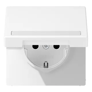 Jung SCHUKO Steckdose, 16 A 250 V ~, mit Schriftfeld, Serie LS, schneew LS1520BFNAKLWWM