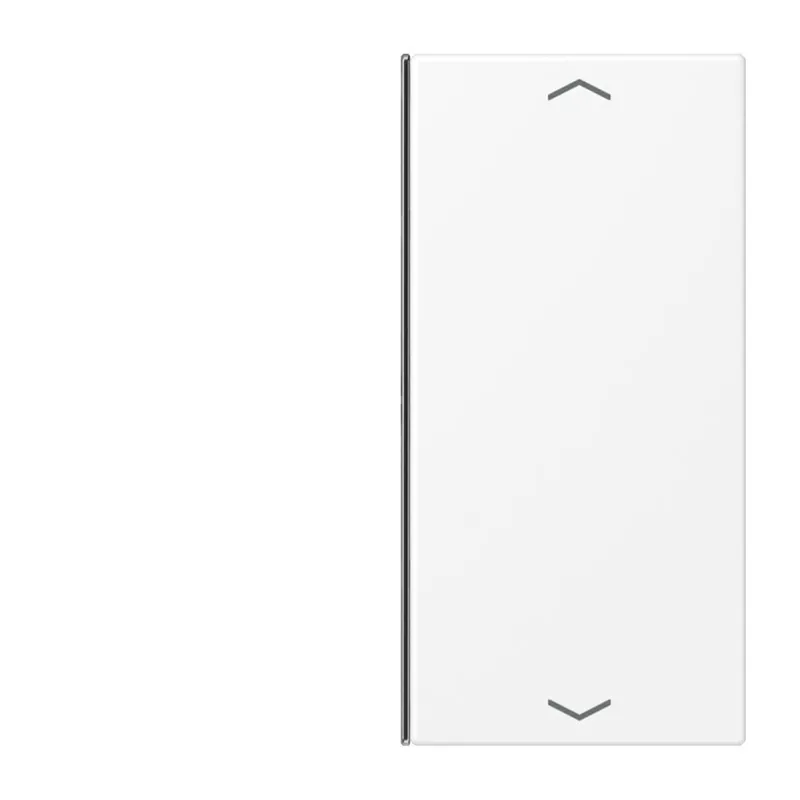 Jung Taste 2fach, mit Pfeilsymbolen, F40, Serie LS, schneeweiß matt LS402TSAPWWM