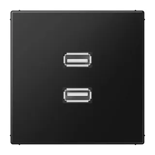 Jung Multimedia-Anschlusssystem 2 x USB 2.0, Serie LS, graphitschwarz matt MALS1153SWM
