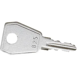 Jung Schlüssel Typ 807 807SL