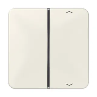 Jung Taste 1fach, mit Pfeilsymbolen, F40, Serie CD, weiß CD401TSAP