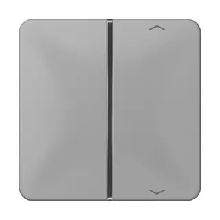 Jung Taste 1fach, mit Pfeilsymbolen, F40, Serie CD, grau CD401TSAPGR