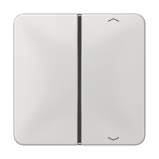 Jung Taste 1fach, mit Pfeilsymbolen, F40, Serie CD, lichtgrau CD401TSAPLG