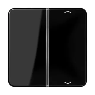 Jung Taste 1fach, mit Pfeilsymbolen, F40, Serie CD, schwarz CD401TSAPSW