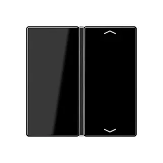 Jung Taste 1fach, mit Pfeilsymbolen, F40, Serie A, schwarz A401TSAPSW