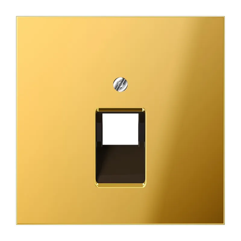 Jung Abdeckung für IAE/UAE-Anschlussdosen 1 x 8-polig, Metall goldfarben PVD-beschichtet, Serie LS, goldfarben GO2969-1UA