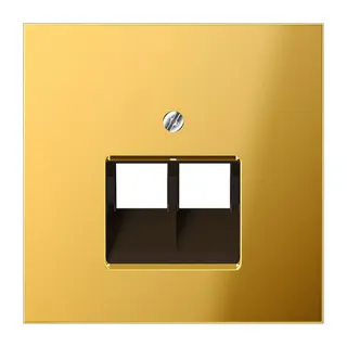Jung Abdeckung für IAE/UAE-Anschlussdosen 2 x 8-polig, Metall goldfarben PVD-beschichtet, Serie LS, goldfarben GO2969-2UA