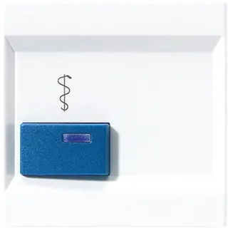 Jung Abdeckung für Ackermann, Typ 73022 A 2, blau, Serie LS, alpinweiß LS022A-2WW