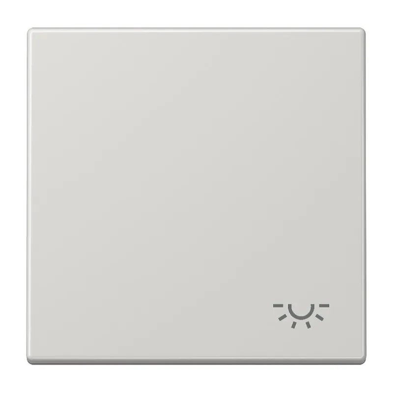 Jung Wippe 1fach, Symbol Licht, Duroplast, Serie LS, lichtgrau LS990LLG