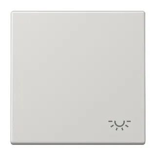 Jung Wippe 1fach, Symbol Licht, Duroplast, Serie LS, lichtgrau LS990LLG